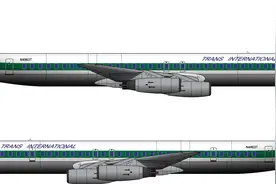 毁掉一架客机的致命石块，回顾1970年跨国际航空863航班纽约空难图片