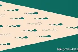 小蝌蚪活力低怎么办？如何调整状态~图片