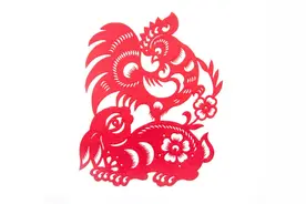 生肖兔：和这3属相相处注意，前世债今天还，苦命属相兔命运！图片