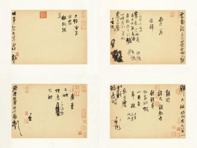 川贝炖花胶 2026年花胶川贝瘦肉的做法