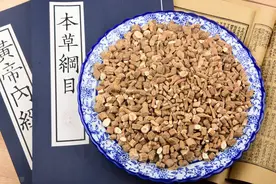 板蓝根能不能邮寄到国外？图片