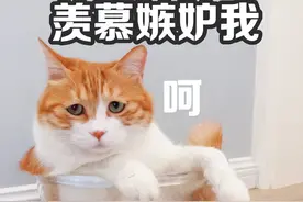 天津基层公务员真实工资流出，公积金5300元，网友：确定是真的？图片