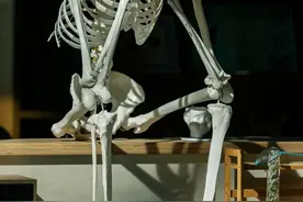 【法眼看剧】画像师真能画出犯罪嫌疑人？图片