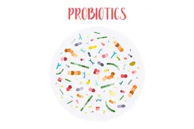 从基础到临床：10文速览近期益生菌研究图片