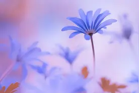 两个人有没有夫妻缘，其实早已命中注定的！图片