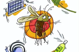 6月成蚊密度将达高峰！不同种类蚊子“上班”时间不同，这样应对→图片