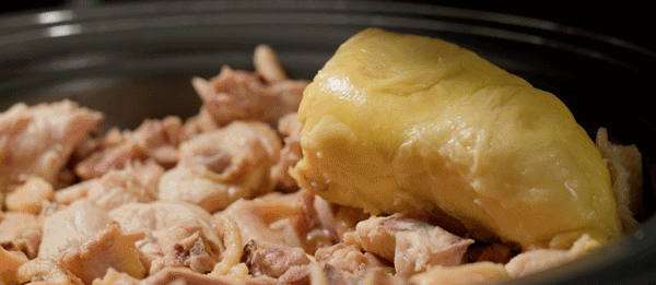 吃完榴莲可以喝花胶汤吗 2025年榴莲可以和花胶一起煲汤吗