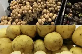 鉴定一下网络热门水果——龙宫果图片