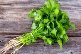 不爱吃香菜，竟然是因为基因变异？图片