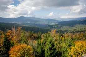 论文注释的正确打开方式！（一）图片