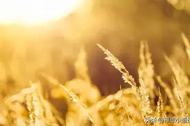 “好晒啊”英文怎么说？可千万别说"I am so hot"图片