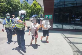 争分夺秒为生命开道！南宁交警启动“生命救护绿波”机制接力救助早产儿图片