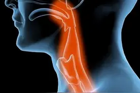 【豫健中医】药膳坊:警惕“吞咽困难”图片