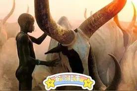 世界上最大的牛角图片