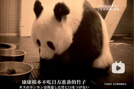 她这次热搜，刷屏内娱，却越扒越心疼图片