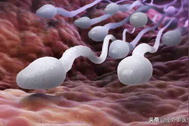 检查精液常规，你做对了吗？快来看一下……图片