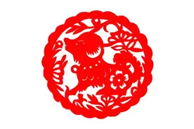 懂事又孝顺！家里属狗的孩子，出生在这几个月份，将来很有出息！图片