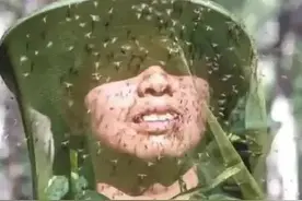 哪有什么岁月静好只是有人负重前行来看看中国蚊子最多的边境图片