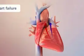 经常用的药，要用的明明白白（七）维立西呱片图片