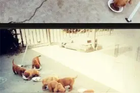 盘点只有程序员才能看懂的段子，让你笑得停不下来图片