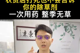 恶性杂草用什么除？一次用药一季无草的效果#除根烂根渗透...图片