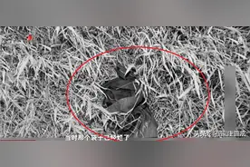 父母苦等大学生儿子回家，竟在14年前变亡魂图片