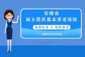 安徽省城乡居民基本养老保险系列（二）缴费标准和领取事项图片