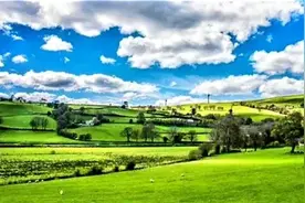 成吉思汗赞图片