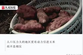 康乾盛世，“番薯盛世”？图片