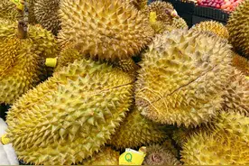买榴莲，挑刺短的还是长的？都不对！难怪买的榴莲皮厚肉少不香甜图片