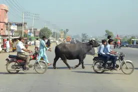 我，巴基斯坦旅游，千防万防还是没防住当地人，真实经历令人难忘图片