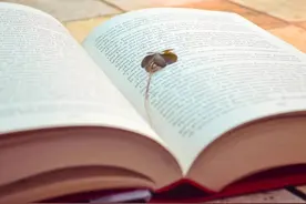 不知道喜欢做什么，不妨这样试试图片