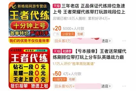 王者荣耀：找代练处罚更加严格？玩家分享如何避免官方检测图片