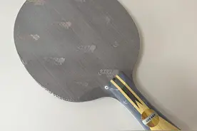 一文打尽：从50元到600元，盘点各价位最值得买的乒乓球底板图片