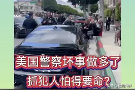 美国警察抓捕犯人，害怕得要命，需要十几名警察几辆警车图片