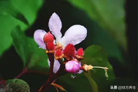 额头皱纹产生的原理是什么？图片