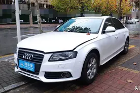 8万提台奥迪A4去见岳父母，才开几天就趴窝，女友：车里面还死臭图片