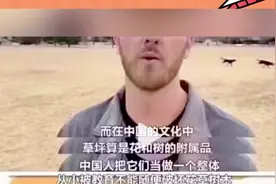 十四亿人没发现！中国足球踢得烂的真正原因，被外国网友找到了图片