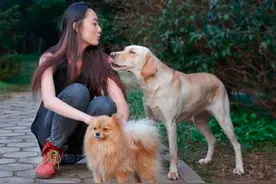 俗语说：“喂狗别喂饱”，是什么意思？其实后半句才是重点图片