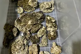 钱塘江闸口有人捡到白色浮石，有一股香味，这是什么？图片