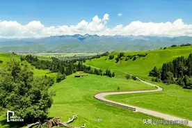 季节限定！独库+伊犁8字大环线，看遍新疆最美草原花海！图片