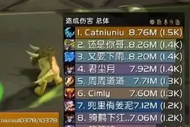 魔兽怀旧服：P3猫德单体登顶！大佬分享经验，40级皮甲竟是毕业？图片