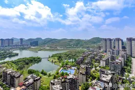 毒眼看本质：庙小妖风大，池浅王八多，穷人就该离开小地方！图片