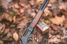 世界战争革命之世界步枪发展史！创造新纪元！图片