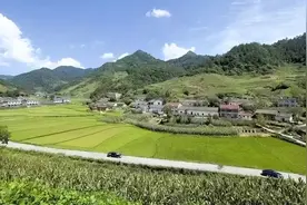 五十多岁的70后，悟透“鸭子定律”，必有后福图片