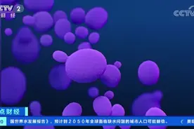 致命真菌在美国蔓延！近半感染者三个月内死亡图片