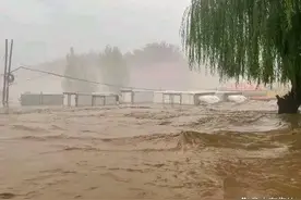 马庆武║鹧鸪天·涿州暴雨图片