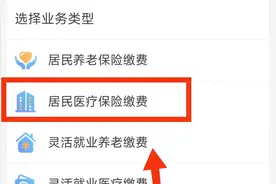 怎样使用支付宝5分钟续交河南省城镇居民医疗保险图片