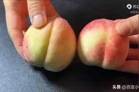 才知道，原来挑选桃子只要瞧一眼这里，一挑一个准，果农方法管用图片