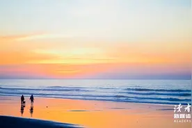 全网热议的“一块虎皮蛋糕”事件，戳中多少人的隐痛：“苦难教育”到底有什么意义？图片